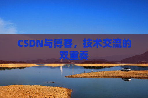 CSDN与博客，技术交流的双重奏